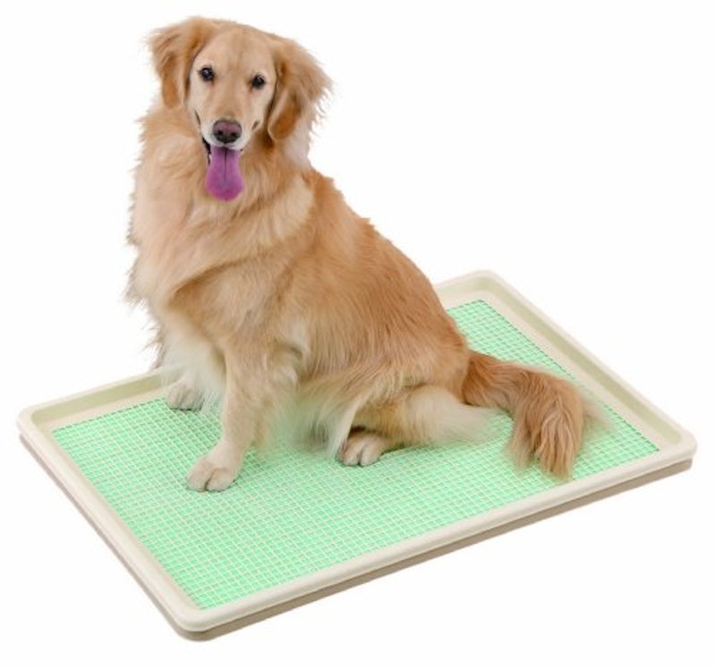 22年 大型犬用トイレのおすすめ人気ランキング33選 Mybest 22年 大型犬用トイレのおすすめ人気ランキング33選 Mybest