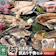 山下水産 美味食卓さくだ屋 干物セット 1