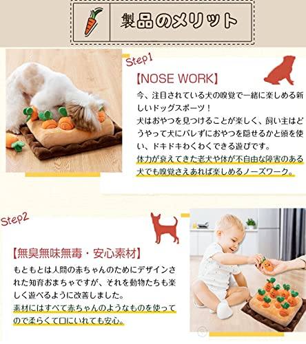 にんじん畑 4