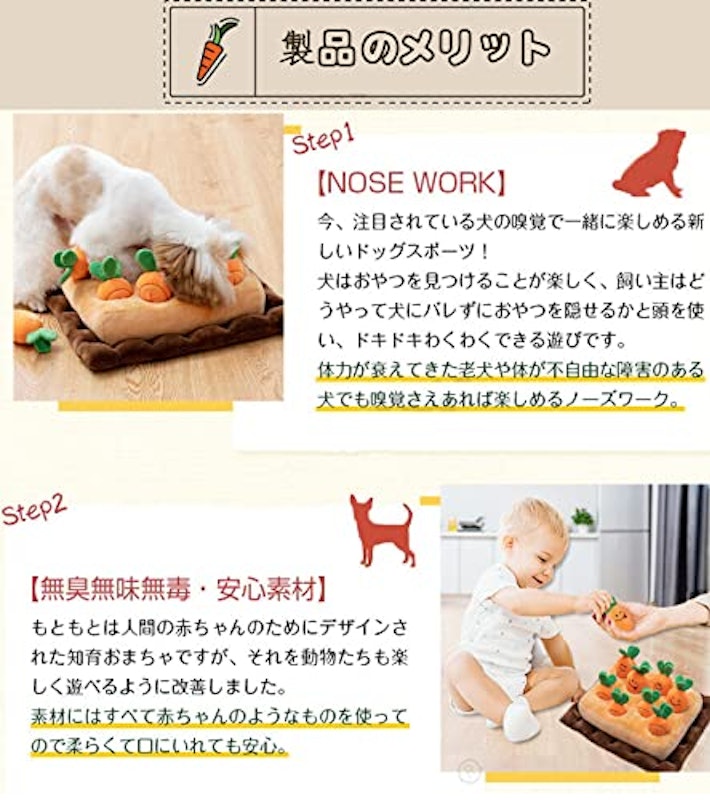 にんじん畑 4