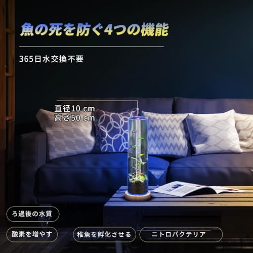 小型水槽セット 5