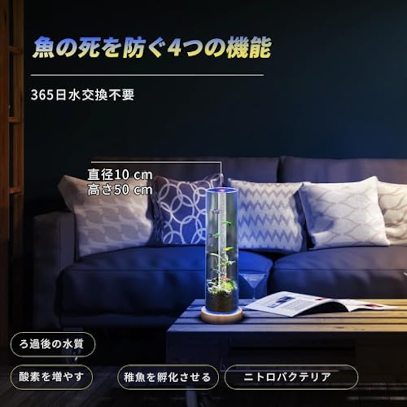 小型水槽セット 5