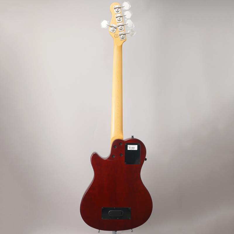 A5 Ultra Fretless AE Natural アコースティックベース 2
