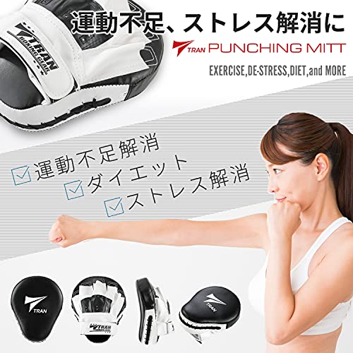 パンチングミット 2
