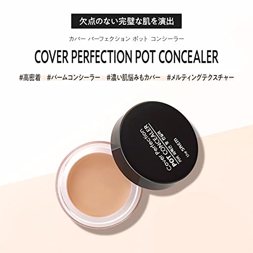 カバーパーフェクション ポットコンシーラー 2