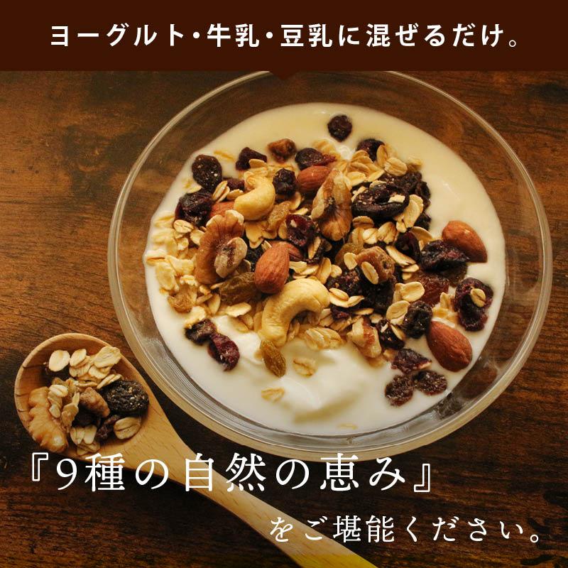 まるごとナッツ ミューズリー 7