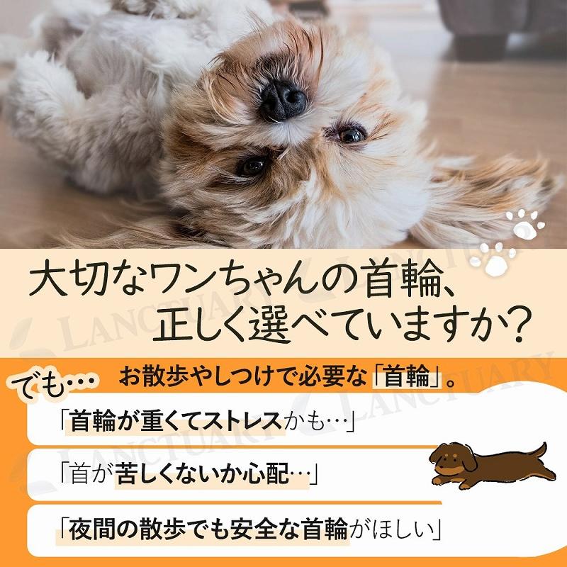 ペット首輪 3