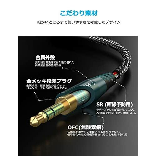 オーディオ変換アダプタ 2