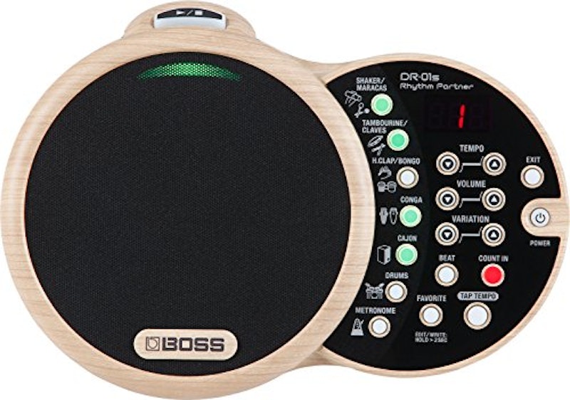 DR-01S Rhythm Partner 1