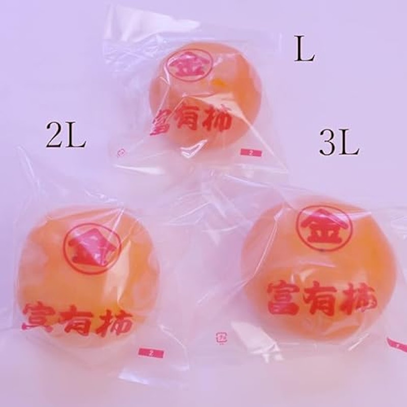 太田丸金 富有柿 4
