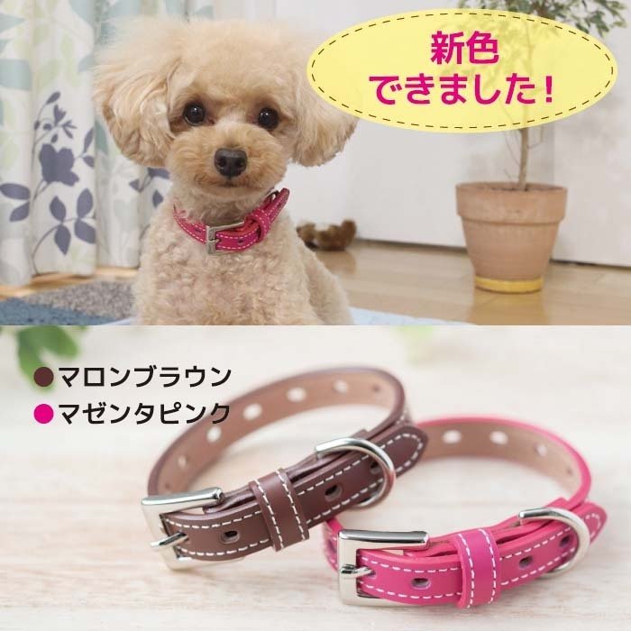 22年 チワワ用首輪のおすすめ人気ランキング19選 Mybest