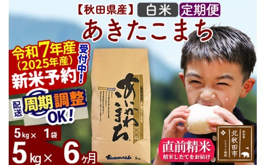 定期便6ヶ月 秋田県産あきたこまち5kg 白米 1