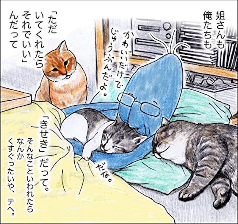 俺、つしま 5