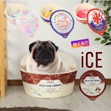 おもしろいデザインの犬用ベッドのおすすめ人気ランキング【2026年6月】 3