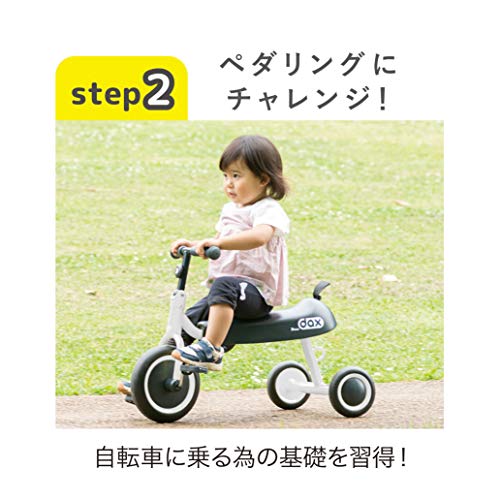 ディーバイク ダックス 3