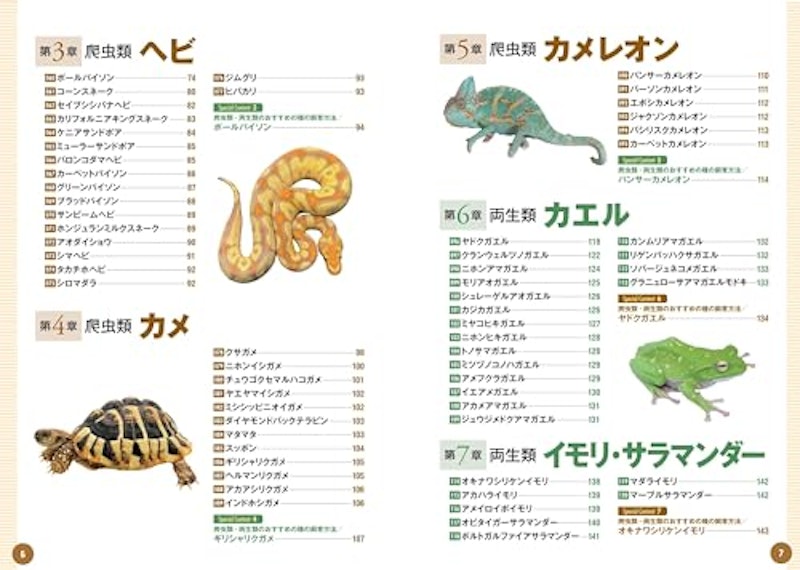 飼いたい種類が見つかる爬虫類・両生類図鑑 3