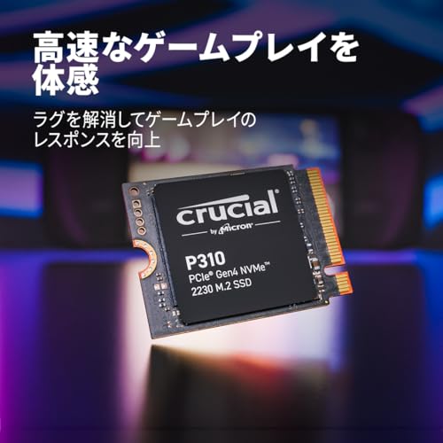 P310 3