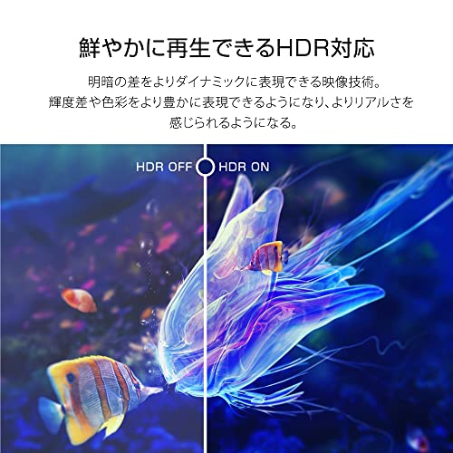 チューナーレス　スマートテレビ 2