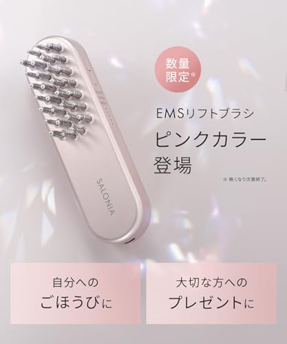 EMS リフトブラシ 2