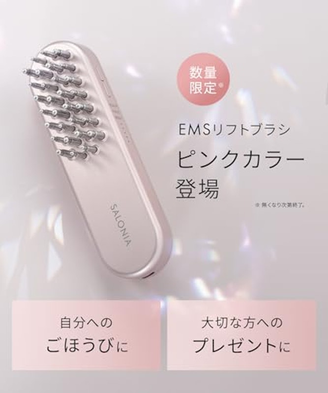 EMS リフトブラシ 2