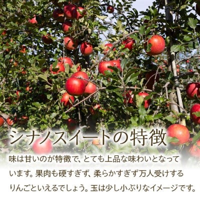 シナノスイート 小玉 食べきりサイズ 3