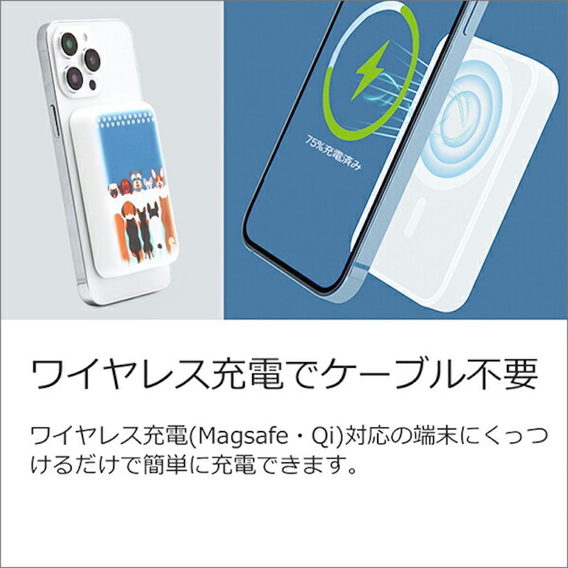 LOOF モバイルバッテリー 9