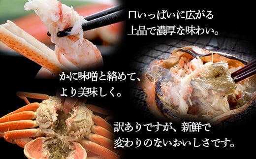 浜茹でオオズワイガニ 2
