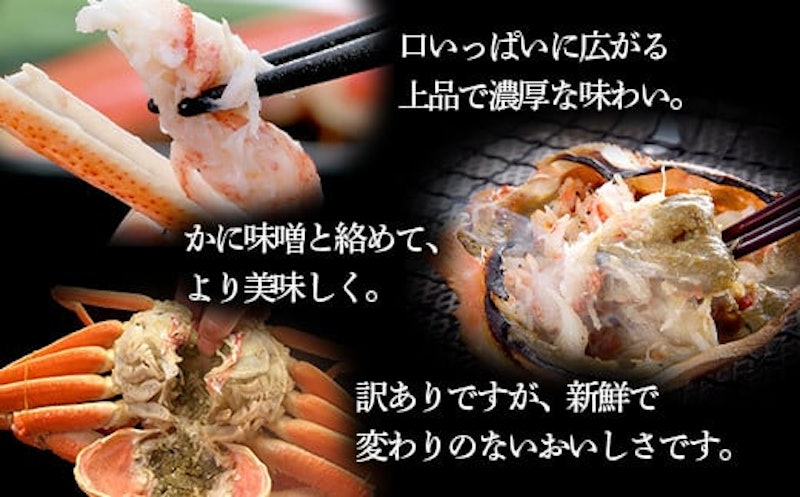 浜茹でオオズワイガニ 2