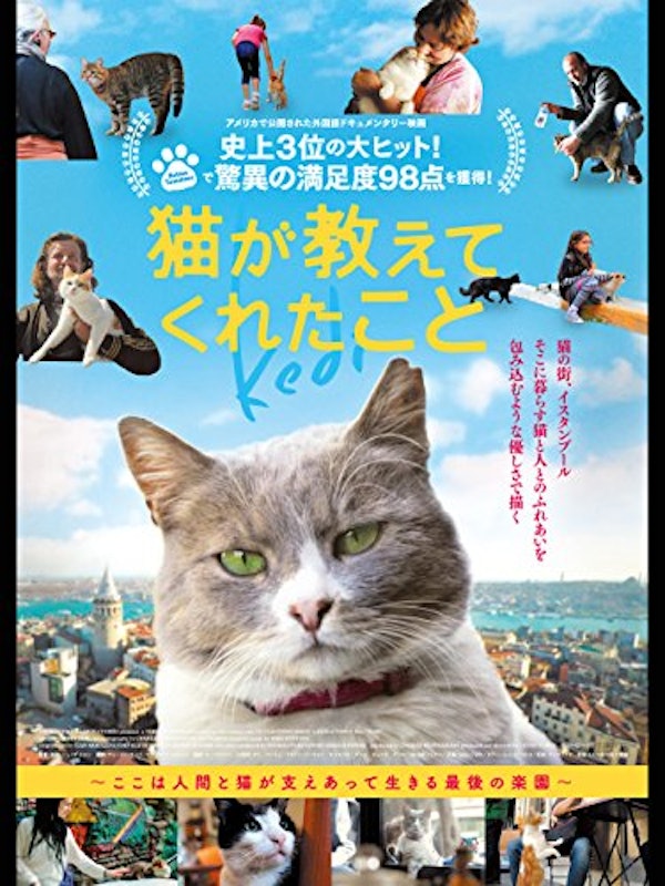 猫が教えてくれたこと 1