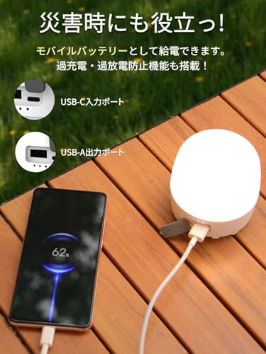 LEDランタン 4