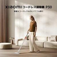 コードレス掃除機 P30 2