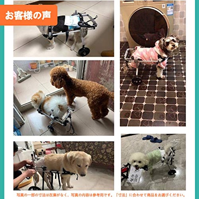 21年 犬用車椅子のおすすめ人気ランキング9選 Mybest 21年 犬用車椅子のおすすめ人気ランキング9選 Mybest