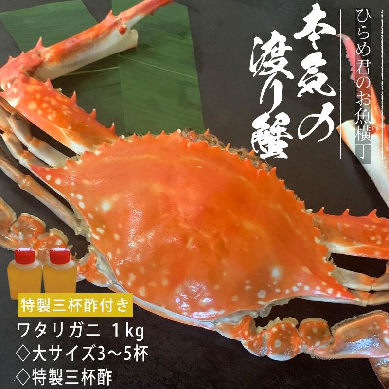 浜ゆでワタリガニ 1
