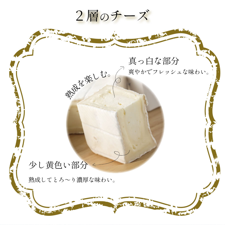 選べる生カマンベールチーズ2種セット 5