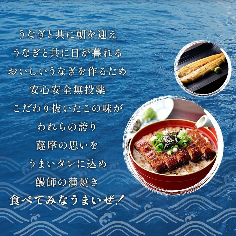 うなぎ蒲焼き 5