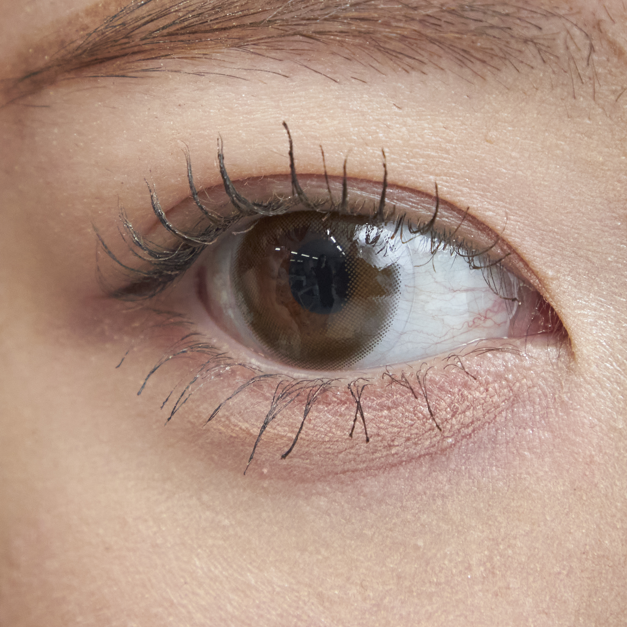 資生堂 クレ・ド・ポー ボーテ マスカラシルエトフェを検証レビュー