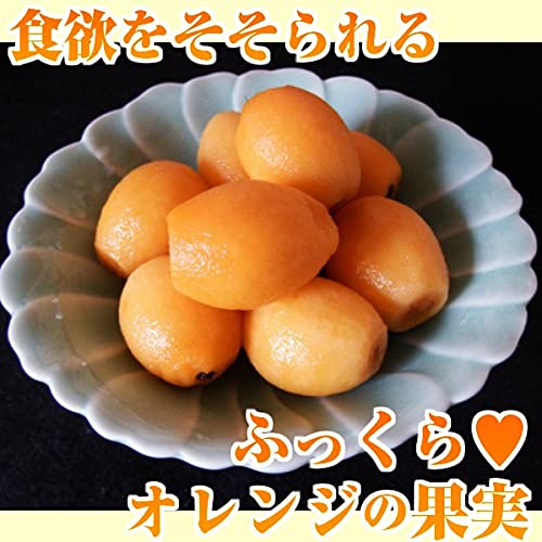 フルーツマルシェ 長崎ハウスびわ 2