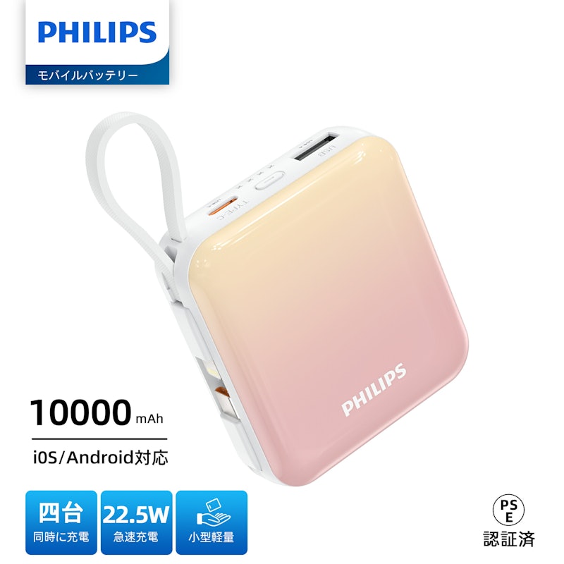 モバイルバッテリー 10