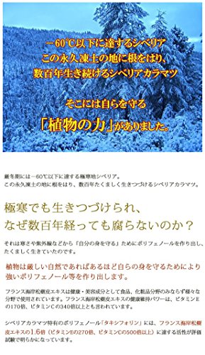 ジクベルチン 2