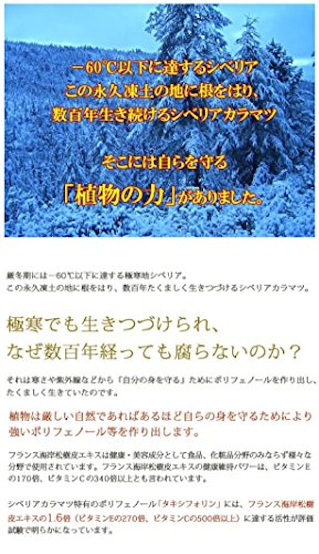 ジクベルチン 2
