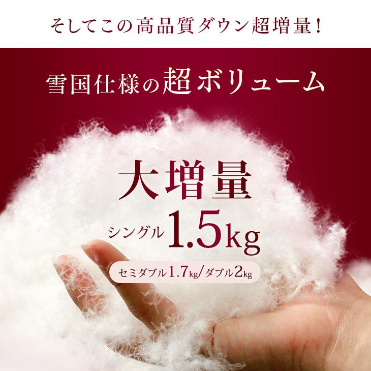 雪国の羽毛 5