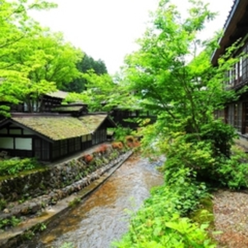 法師温泉長寿館 1