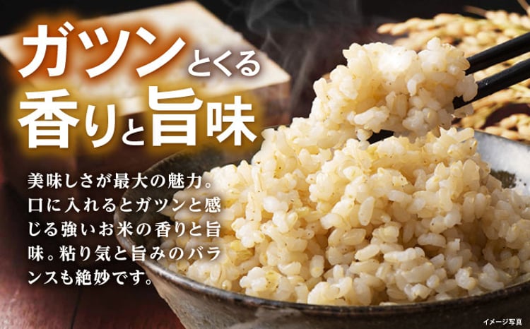 滋賀県産 JAS有機オーガニック コシヒカリ 玄米 3