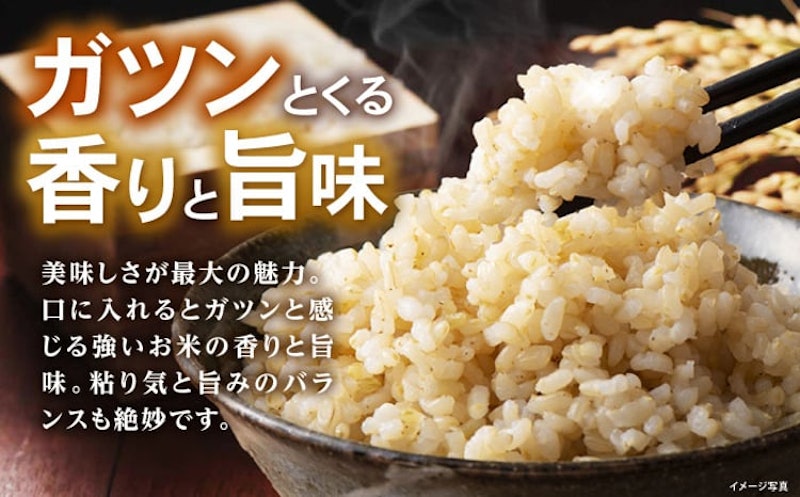 滋賀県産 JAS有機オーガニック コシヒカリ 玄米 3