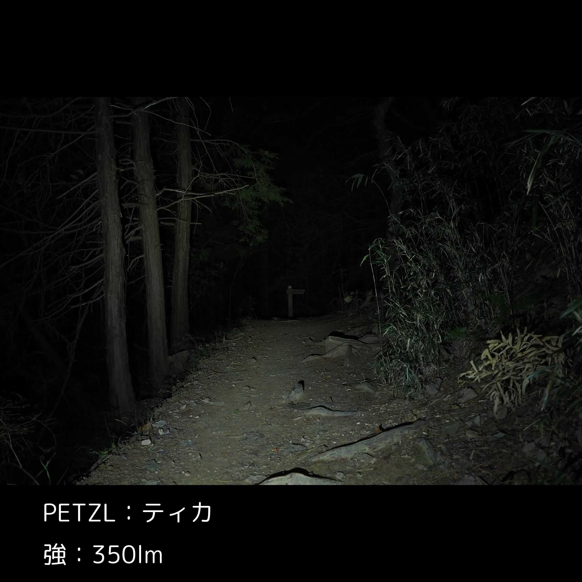 ティカ 2