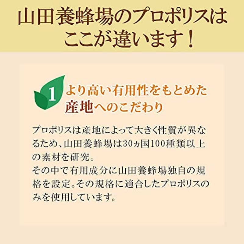 プロポリス300 5