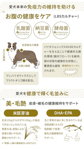 プロフェッショナルバランス 3