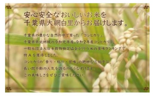 千葉県産コシヒカリ 2