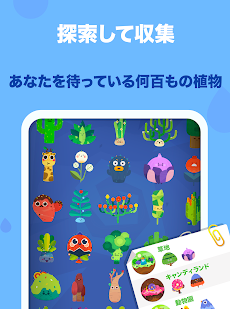 フォーカス・プラント 8