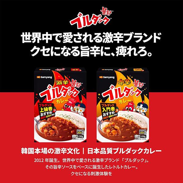 カレー 激辛 3